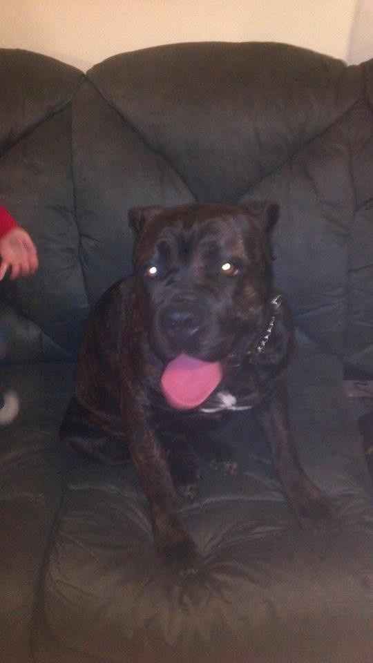 NWR: Lets See Your Fur Babies!