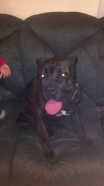 NWR: Lets See Your Fur Babies!