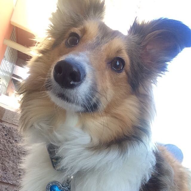 NWR: post pics of your pets!!