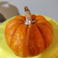 2023 Brides - Show us your ring! - 1