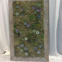 Succulents, Fall Dessert wedding- Does that work?