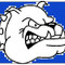 bulldog40
