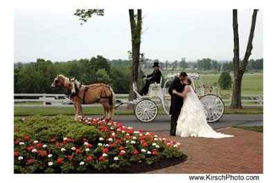 Horse and carriage