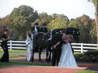 Ask and you shall receive!!  MORE PICS!