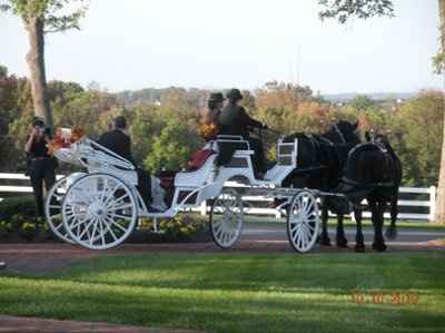 Ask and you shall receive!!  MORE PICS!