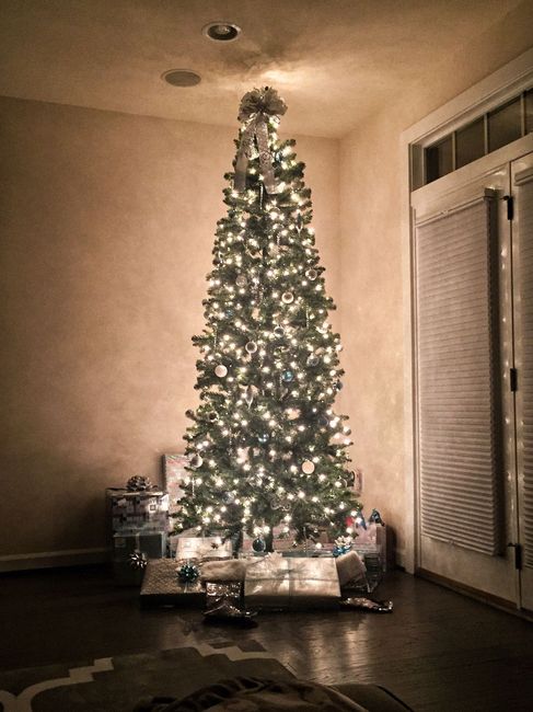 NWR: Finally finished decorating our first Christmas tree!!