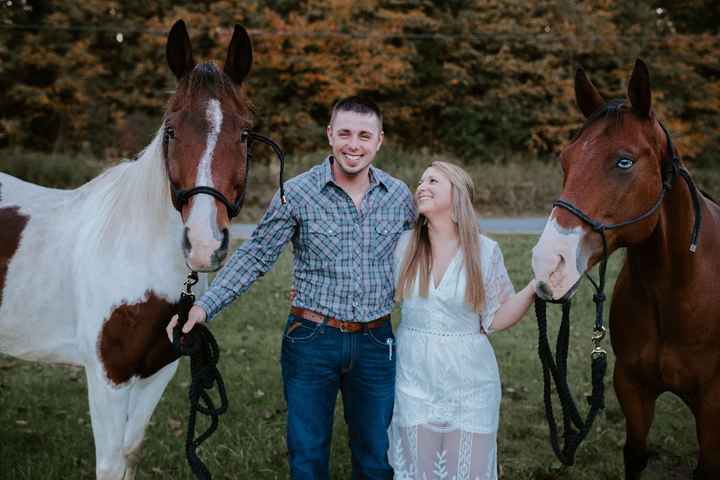 Has anyone included their horse(s) in their wedding photos? - 1