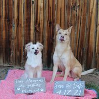 Couples getting married on April 17, 2021 - 1