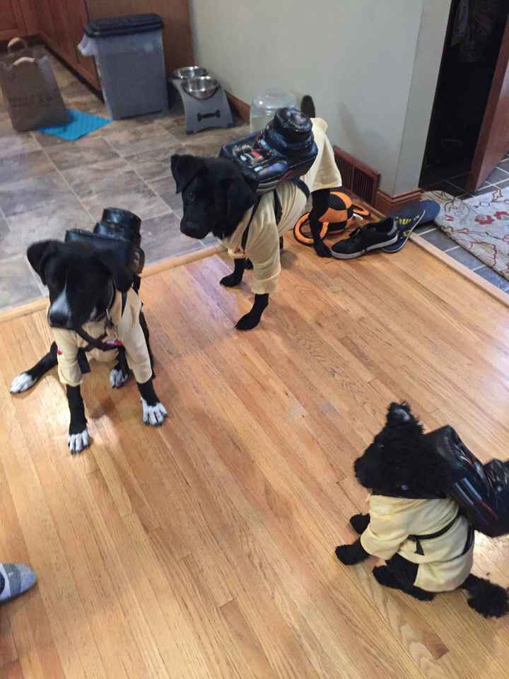 NWR - Pet pictures