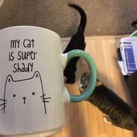 Positive thoughts and pictures of fluffy pets please