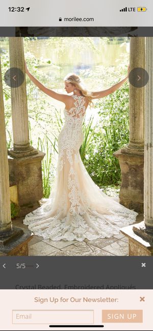 Did you say yes to the dress? 2