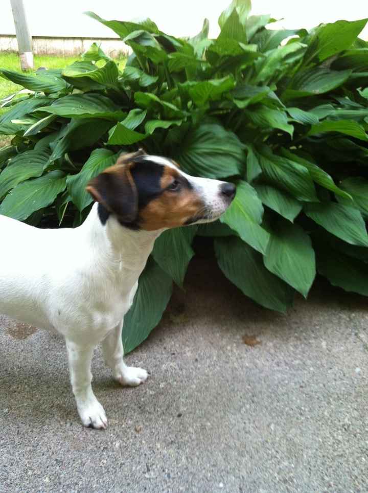 What do you think? Need opinions!