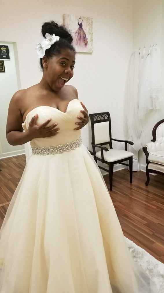 Show me your cream/champagne dresses! - 1