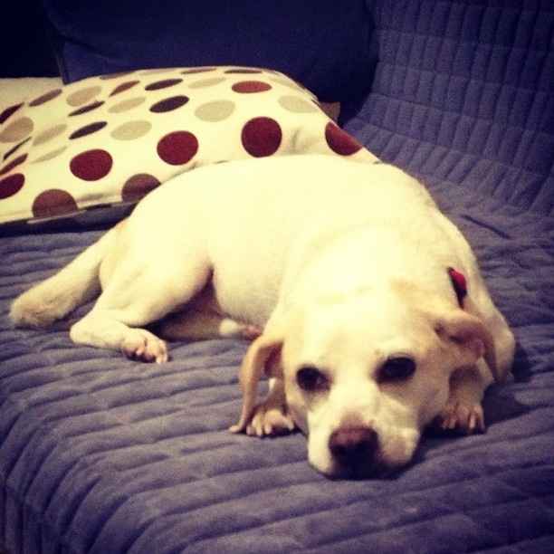 I'm in need of a post like this! {POST YOUR PICS!}