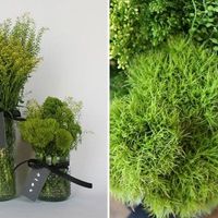 Centerpieces...love them, don't care for them?