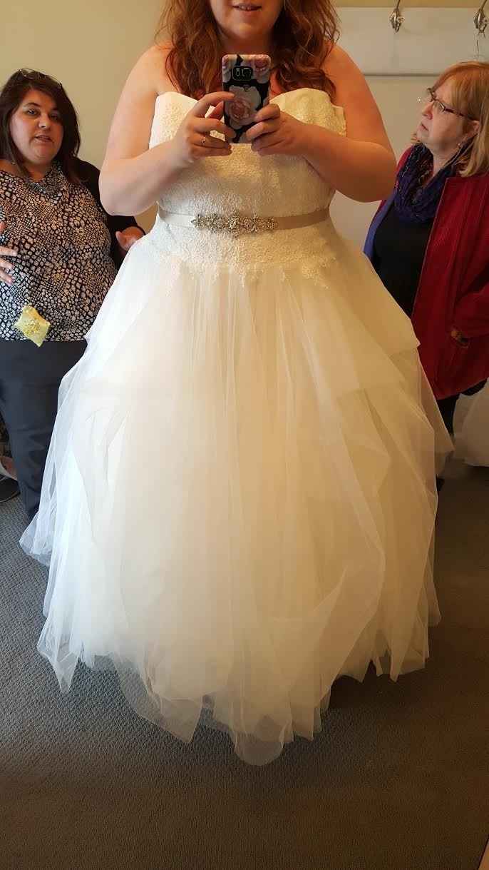 Calling plus-sized ball gowns!