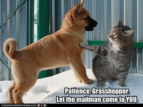 LOL pets!!! Cats and Dogs welcome!
