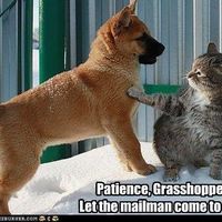 LOL pets!!! Cats and Dogs welcome!