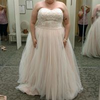 Let me see your DRESS!