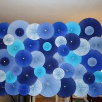 Where did you put your photo backdrop?