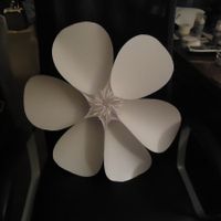 Where did you put your photo backdrop?