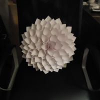 Where did you put your photo backdrop?