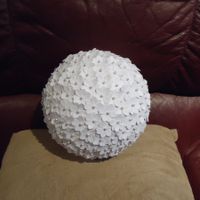 Where did you put your photo backdrop?