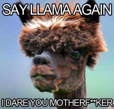 The alpaca thread is gone