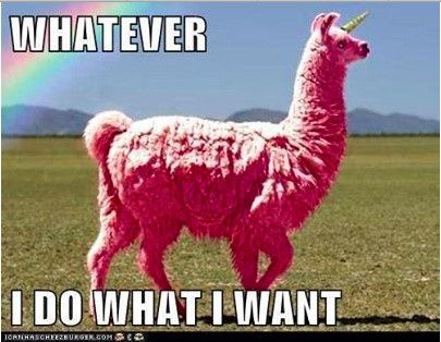 The alpaca thread is gone