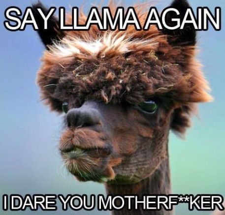 The alpaca thread is gone