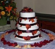 Show me your .........