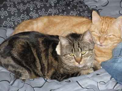 Lets see those pets!!! (NWR)