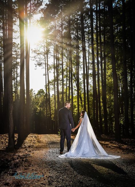 What kind of veil with this dress? - 2