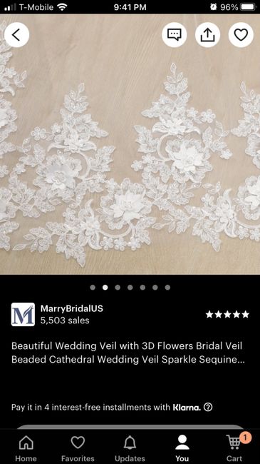What kind of veil with this dress? 5