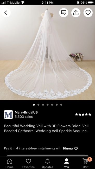 What kind of veil with this dress? - 5