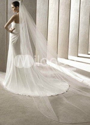 veil arrived...just a piece of fabric... =(