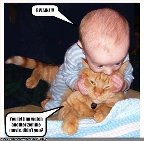 Mrs S ... We need to start another funny Cat thread!