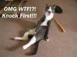Mrs S ... We need to start another funny Cat thread!