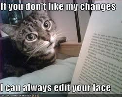 Mrs S ... We need to start another funny Cat thread!