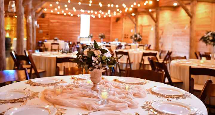 Cheesy to use plastic disposable plates for a backyard wedding? - 1