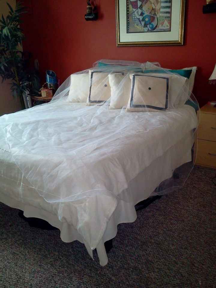 veil arrived...just a piece of fabric... =(