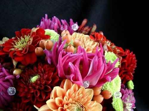 WHO knows their flowers.....I want a Mexican feel!!