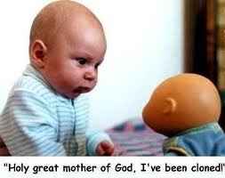 Mrs S ... We need to start another funny Cat thread!