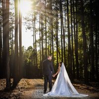 What kind of veil with this dress? - 2