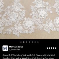 What kind of veil with this dress? - 4