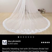 What kind of veil with this dress? - 5