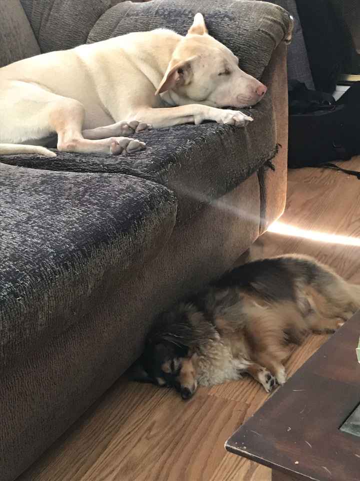 Just need to vent and cry a little