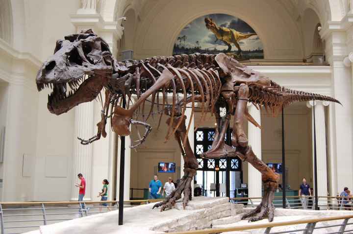 What was the coolest thing you've seen at a wedding?