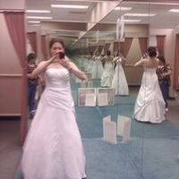 The dress you thought you had to have. And the dress you are wearing/wore on your wedding day