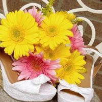 Shoe Me Your Shoes!!!